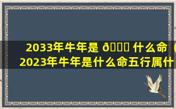 2033年牛年是 💐 什么命（2023年牛年是什么命五行属什么）